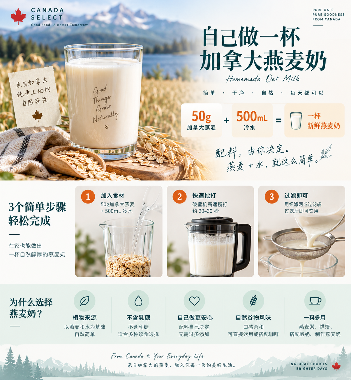 加拿大燕麦与自制燕麦奶，呈现加拿大纯净自然的谷物生活方式
